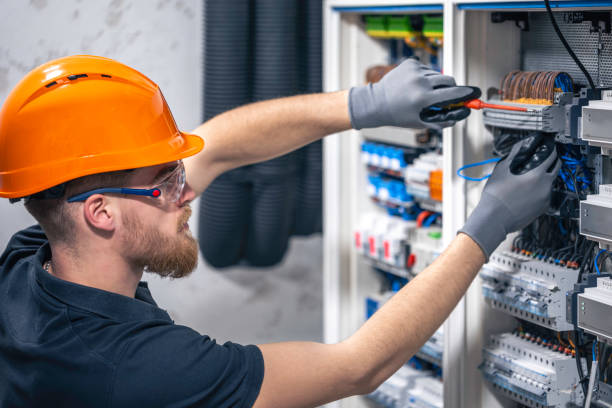 Best Ceiling Fan Installation Electrician  in Hastings, MI